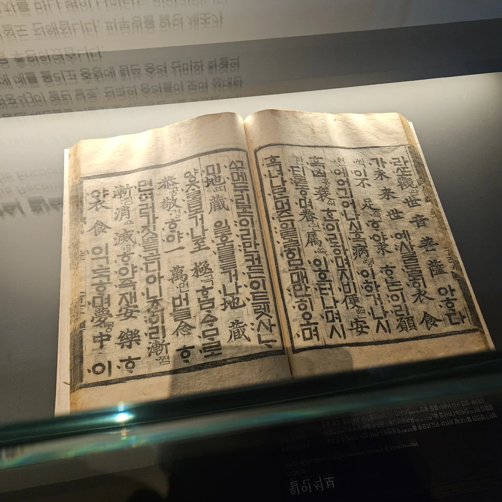 야유회 케이터링 보냉 포장 확인